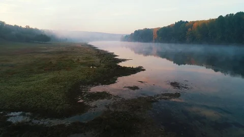 A river with trees on it's coast filmed with a drone. Stock Footage 114427448