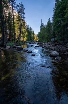 River with Trees Stock Photos