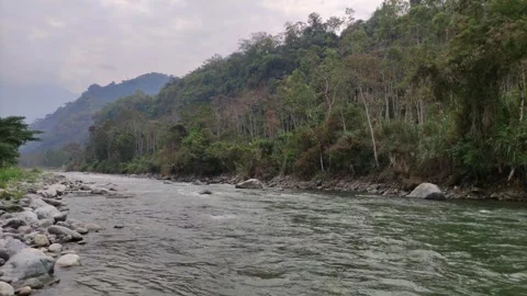 River  with trees, shore and mountains in Peru. 스톡 동영상 283200900