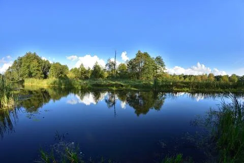 River, trees, sky and clouds reflecting in the water on a calm day. Relaxatio Stock Photos