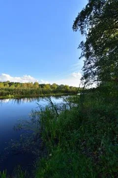 River, trees, sky and clouds reflecting in the water on a calm day. Relaxatio Stock Photos