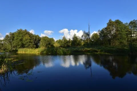River, trees, sky and clouds reflecting in the water on a calm day. Relaxatio Stock Photos