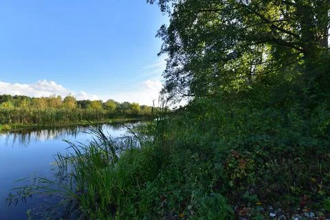 River, trees, sky and clouds reflecting in the water on a calm day. Relaxatio Stock Photos
