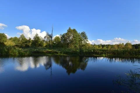 River, trees, sky and clouds reflecting in the water on a calm day. Relaxatio Stock Photos