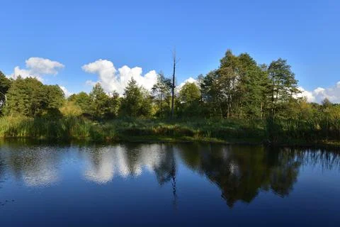 River, trees, sky and clouds reflecting in the water on a calm day. Relaxatio Stock Photos
