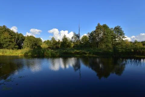 River, trees, sky and clouds reflecting in the water on a calm day. Relaxatio Stock Photos