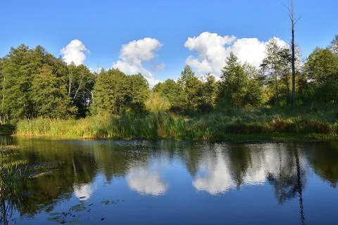 River, trees, sky and clouds reflecting in the water on a calm day. Relaxatio Foto stock