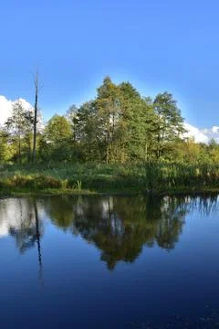 River, trees, sky and clouds reflecting in the water on a calm day. Relaxatio Stock Photos