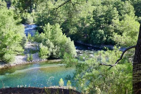 River trees sky.Clear river trees Stock Photos