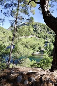 River trees sky.Clear river trees Stock Photos