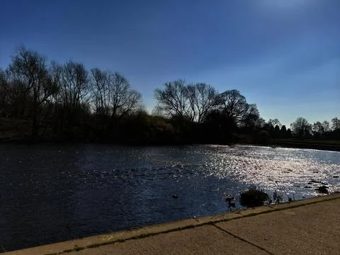 River with Trees Under Clear Blue Sky Stock Photos