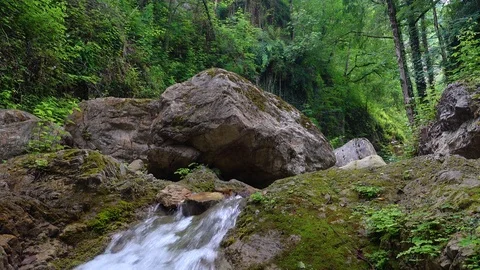 River in tropical forest Stock-Footage 76349615