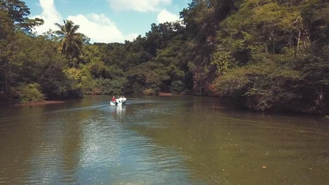 From river to tropical forest Stock Footage 100762938