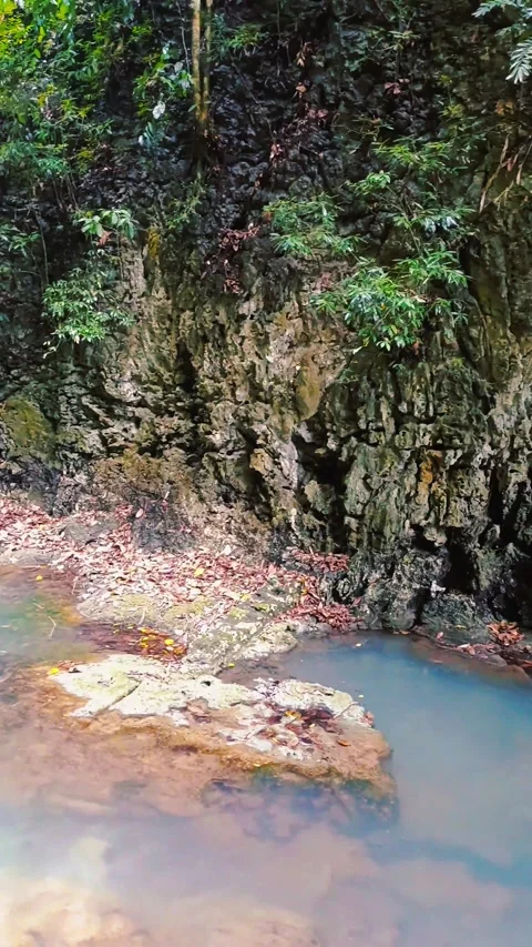 River in tropical forest. Stock Footage 297344197