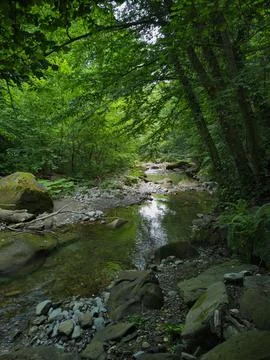 River in tropical forest Foto stock