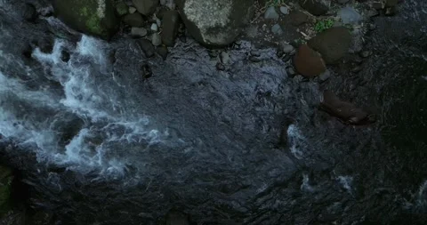 River in tropical green rainforest, 4K Aerial drone top view shot Video stock 251973011