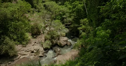 River in tropical green rainforest, 4K Aerial drone top view shot 库存影片 251973041