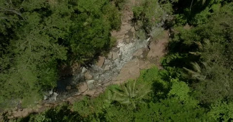 River in tropical green rainforest, 4K Aerial drone top view shot Stock Footage 252116499