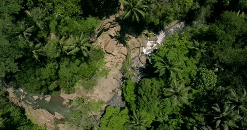 River in tropical green rainforest, 4K Aerial drone top view shot 库存影片 255789267