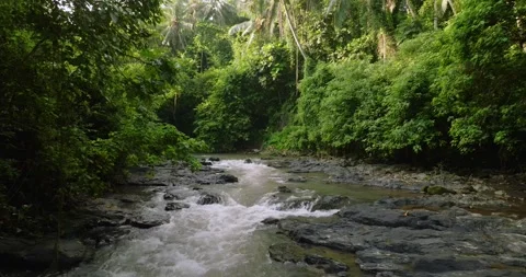 River in tropical green rainforest, 4K Aerial drone top view shot Stock Footage 274523580