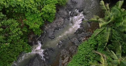 River in tropical green rainforest, 4K Aerial drone top view shot Stock Footage 274523885
