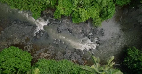 River in tropical green rainforest, 4K Aerial drone top view shot Vídeo Stock 274956534