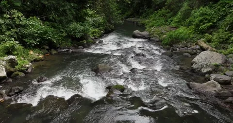 River in tropical green rainforest, 4K Aerial drone top view shot Stock Footage 276399114