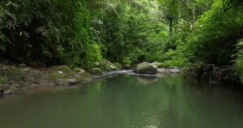 River in tropical green rainforest, 4K Aerial drone top view shot Vídeos de archivo 276451439