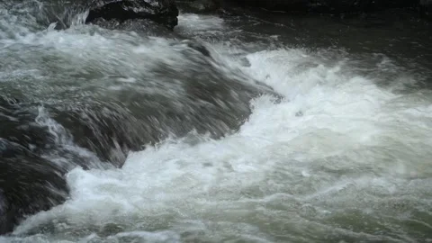River in tropical green rainforest, 4K Aerial drone top view shot Stock Footage 278173096