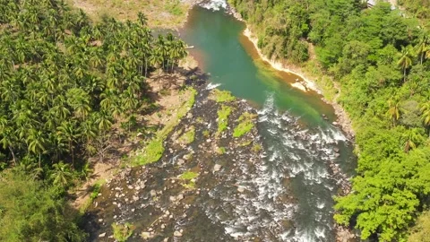 A river in the tropics. Stock Footage 137533978