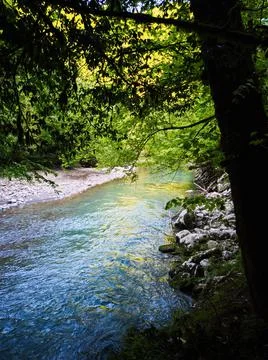 River in the tropics Stock Photos