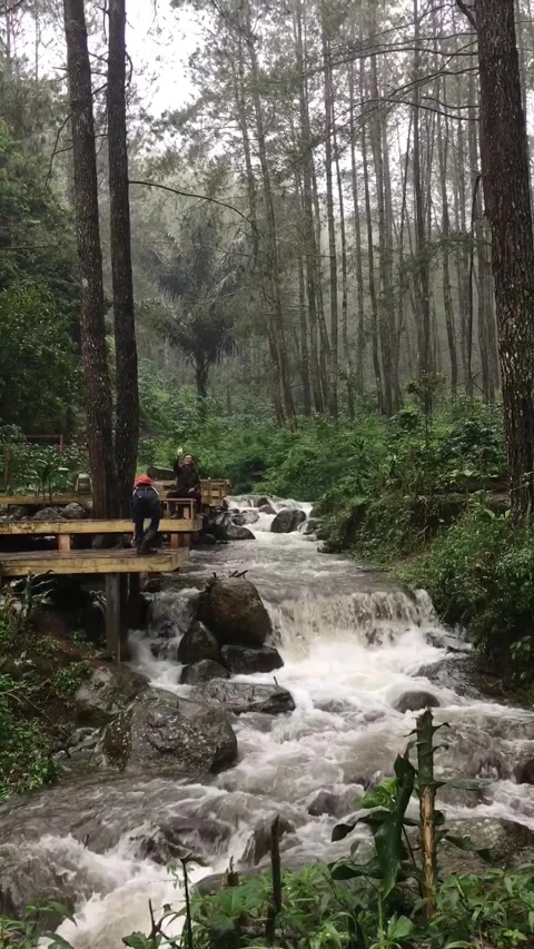 The River &amp; Two Hikers, Mount Godog, Garut, West Java, Indonesia. Видео 343771450