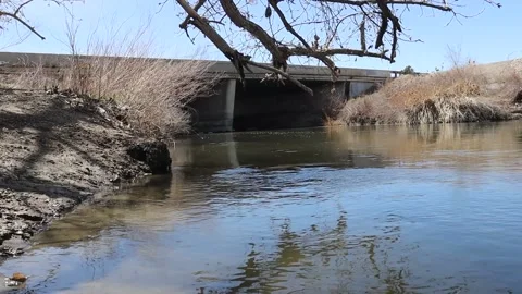 River under bridge - closer to water Stock Footage 237971375