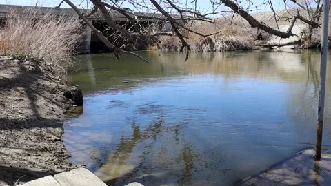 River under bridge Stock Footage 237971410
