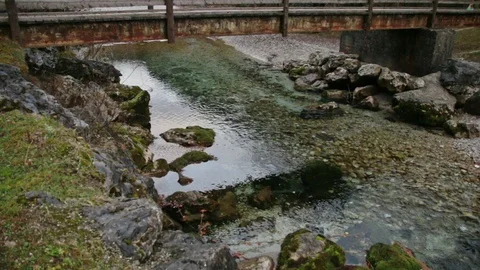 River under a Bridge with Joggers passing on top Stock Footage