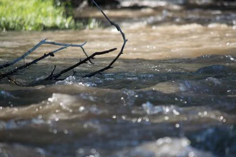 The river under the cover of the tree. Macro shooting. Waves and rays of the Stock Photos