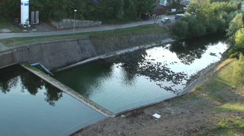 River Under Dam 動画素材 32007464