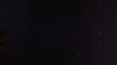 River under the gateway bridge 库存影片 61147876