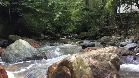 River under shadow forest Stock Footage 125725882