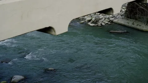 River underneath a bridge Video stock 204030371