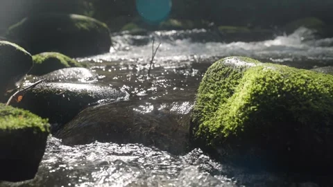 River Upclose Video stock 240622642