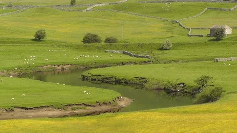 River Ure in the Yorkshire Dales Stock Footage 89763022