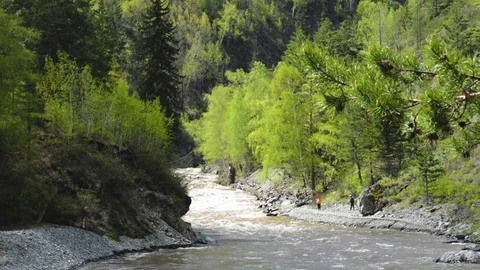 River ursul out Altai Stock Footage 75773996