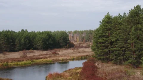 River Uzh Stock-Footage 163961273