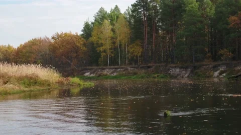 River Uzh Stockbeeldmateriaal 163961320