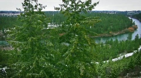 River valley aerial with pine trees and snow Stock-Footage 14831541