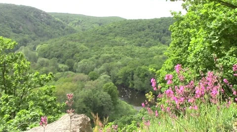 River valley with the bright flowers in the front Stock Footage 60746189