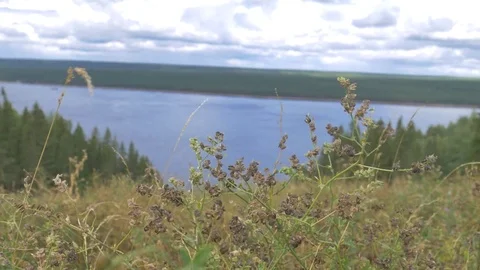 River in the valley Stock Footage 81014535