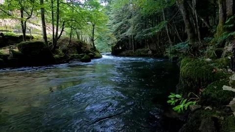 River in the valley Stock Footage 145857108