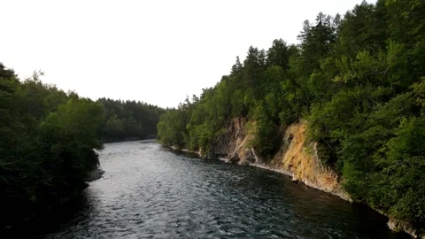River in the valley of the forest at sunset Stock Footage 168178942
